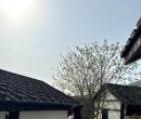 骨感小妹新人報到：小葵162.C.45.22歲 本人照片 身材纖細輕盈 整體乾乾淨淨